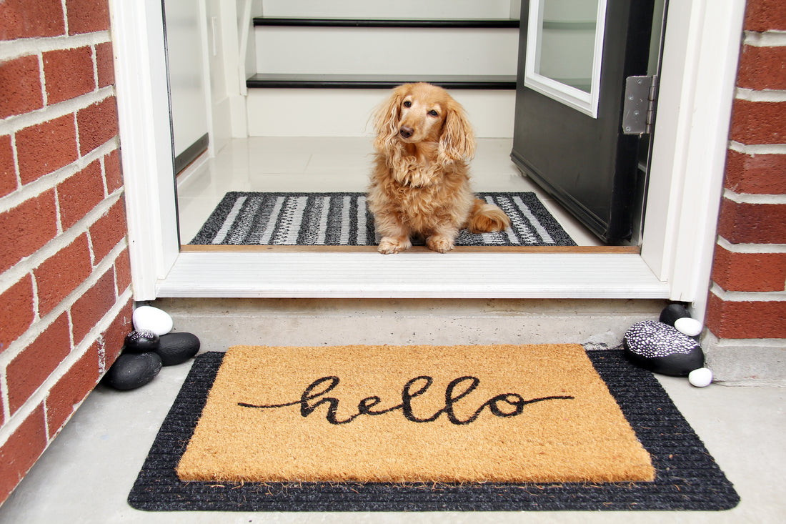 Can You Vacuum the Muddy Mat Dog Doormat?